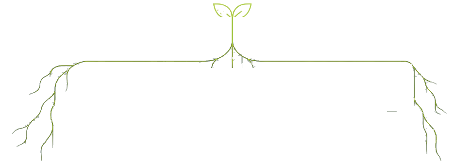 Tree and Roots